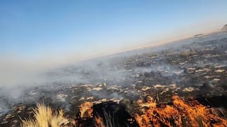 Puno: Incendio forestal afecta a 1,500 hectáreas de pastos naturales en Calapuja