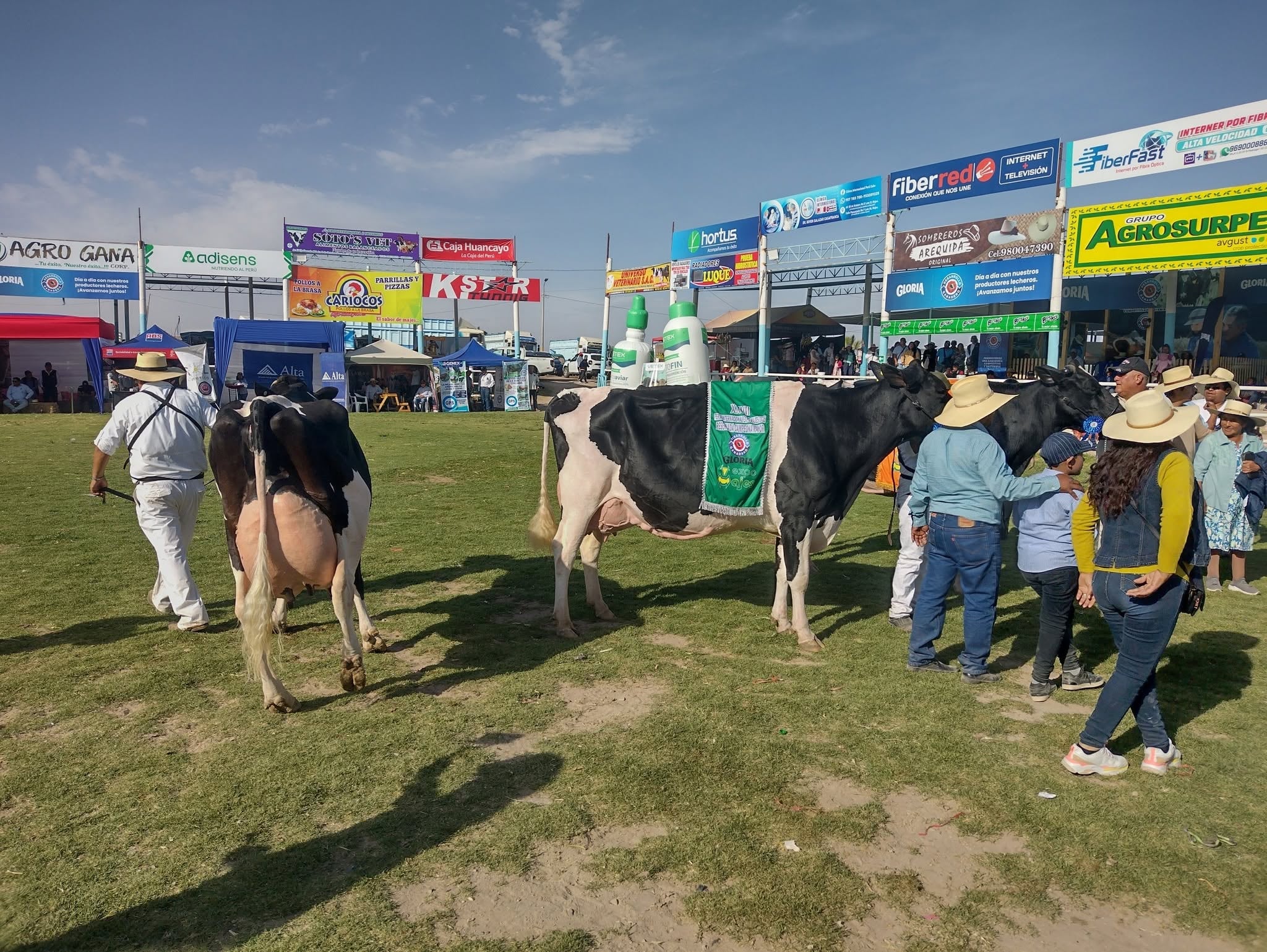 Expo Majes 2026 ofrecerá nueve días de actividades ganaderas, agrícolas y culturales