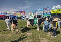 Expo Majes 2026 ofrecerá nueve días de actividades ganaderas, agrícolas y culturales