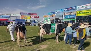 Expo Majes 2026 ofrecerá nueve días de actividades ganaderas, agrícolas y culturales