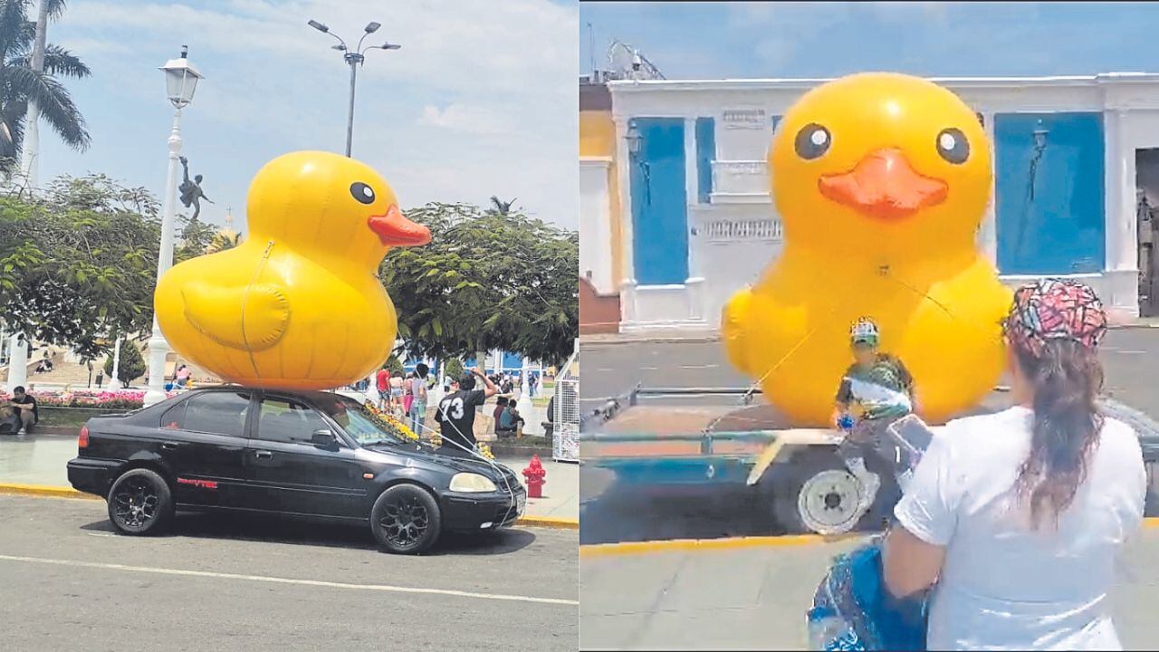 También hay imágenes de patos en la plaza.