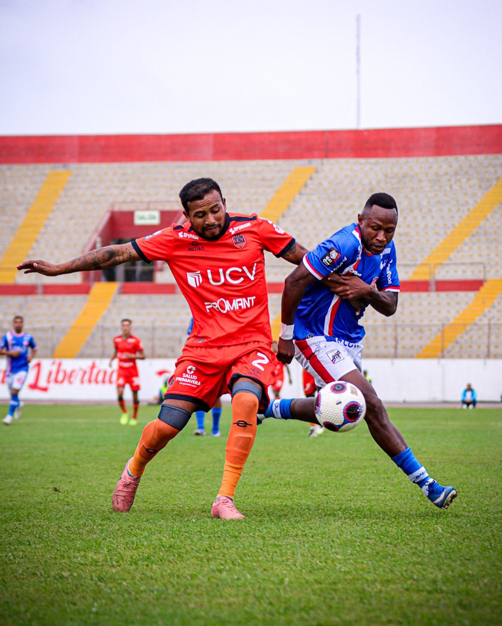 Foto: Sebastian Rivas