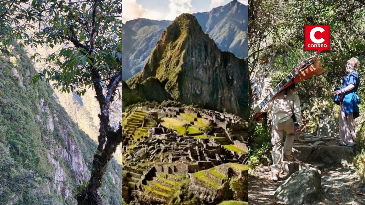 Visitante sufrió una caída hacia pronunciada pendiente en medio de su recorrido por el Camino Inca. Rescatistas activan el protocolo de emergencia.