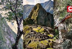 Machu Picchu: buscan a turista que cayó a pendiente en pleno Camino Inca