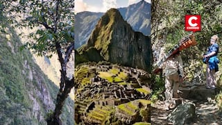 Machu Picchu: buscan a turista que cayó a pendiente en pleno Camino Inca