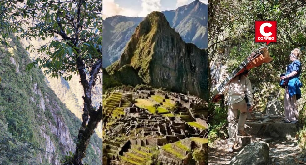 Machu Picchu: buscan a turista que cayó a pendiente en pleno Camino ...