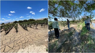 Ica: inician evaluación técnica de cultivos dañados por inundaciones y huaicos en Ocucaje