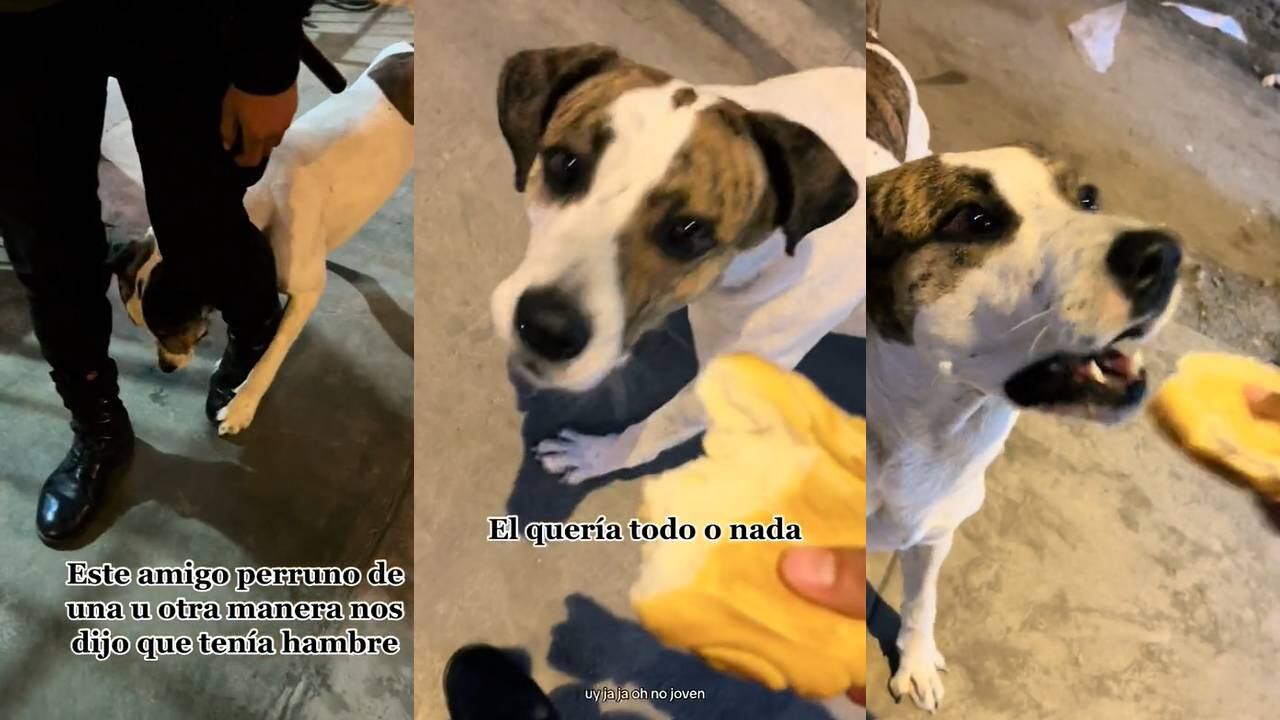 El perrito comió un par de panes que le regalaron los policías. (Foto: composición EC)