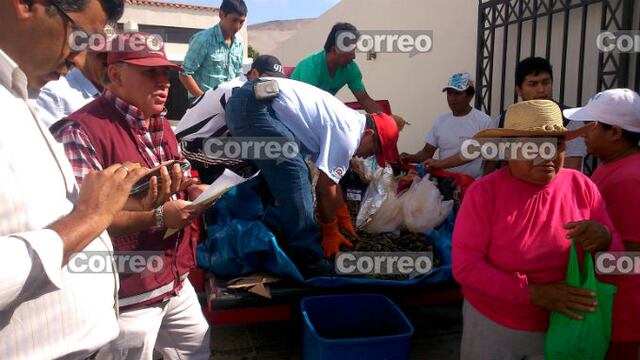 ​Decomisan 61 kilos de camarón en Arequipa y Castilla