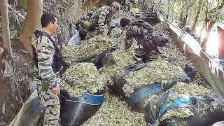 Policía decomisa tonelada y media de hojas de coca en Cusco