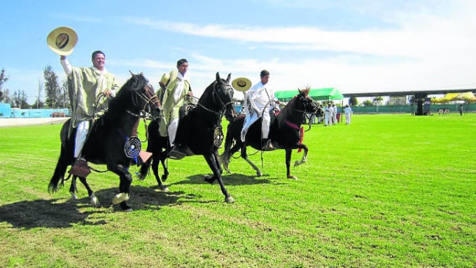 Caballos de paso competirán en el distrito de La Joya. (Foto: GEC)