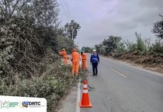 Chincha: ejecutan mantenimiento rutinario en la vía departamental en El Carmen
