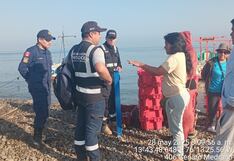 Pisco: decomisan 500 kilogramos de bonito durante un operativo en la playa San Andrés