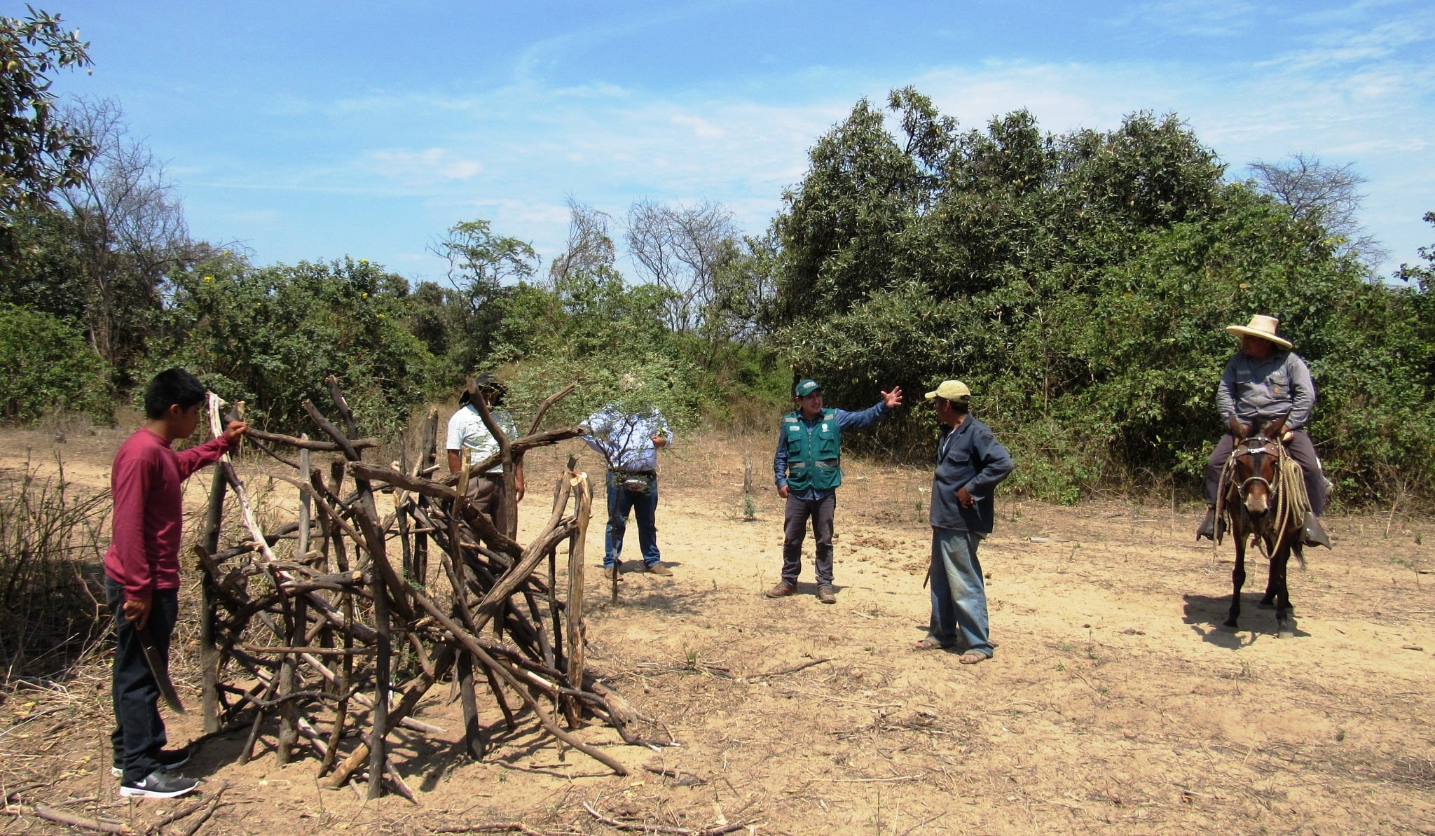 Impulsan proyecto para conservar los bosques secos