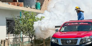 El Gobierno Regional de La Libertad a través de la Gerencia Regional de Salud, viene intensificando acciones en la lucha contra el dengue en diferentes provincias, con el objetivo de evitar que se incrementen los casos.