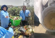 Diresa Ica realizó campaña de eliminación de criaderos de dengue en cementerio de Chincha
