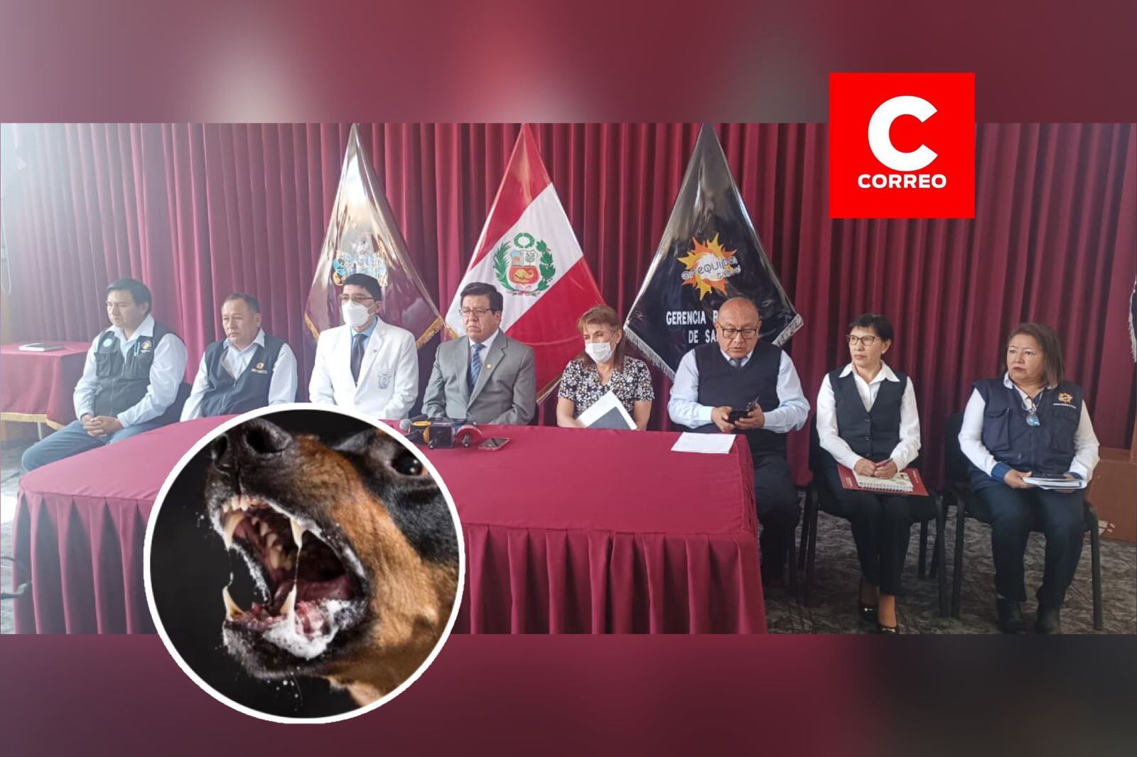 Especialistas explicaron la importancia de la vacunación tras la mordedura de un perro. (Foto: GEC)