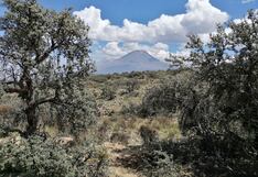 Buscan restaurar 49 ecosistemas y tierras degradadas de Arequipa