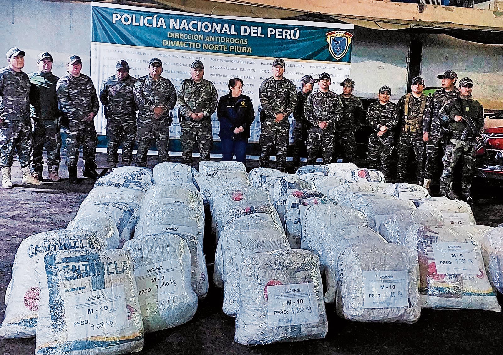 Agentes de la Dirandro de Piura intervinieron parcelas e inmuebles, donde incautaron marihuana valorizada en más de medio millón de soles