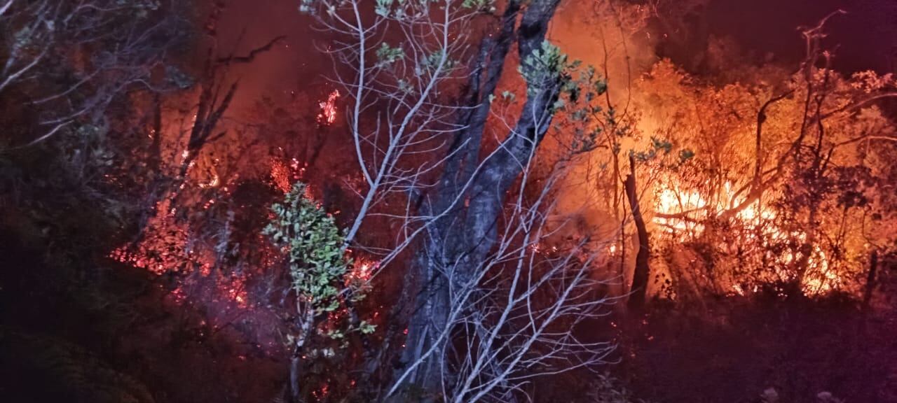 Incendio consume varias hectáreas de bosque del cerro Aypate en la provincia de Ayabaca
