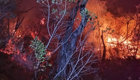 Incendio consume varias hectáreas de bosque del cerro Aypate en la provincia de Ayabaca