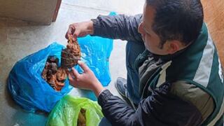 Incautan carne de caimán y especies disecadas en Huancayo