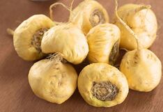 Junín: Cae el precio de la maca a 7 y 8 soles por plaga “la pluma blanca”