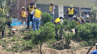Sentenciados mejoran áreas verdes en Alto Selva Alegre en Arequipa (VIDEO)