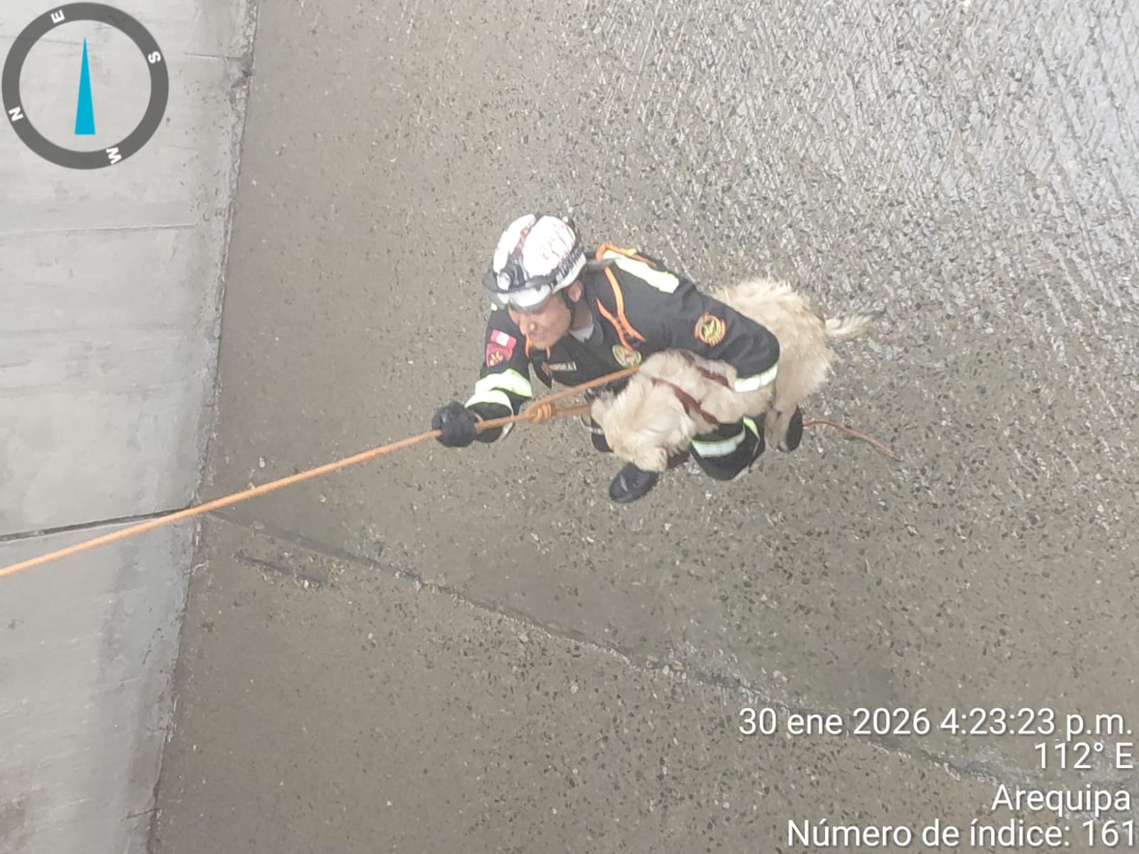 Rescatan a perrito que cayó a torrentera en la av. Venezuela. Foto: PNP.