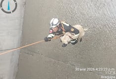 Arequipa: Rescatan a perrito que cayó a torrentera en la av. Venezuela (VIDEO)