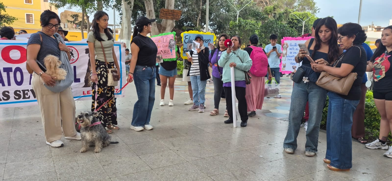 Ica: rescatistas de animales realizan plantón y exigen normativas que apoyen a los refugios temporales
