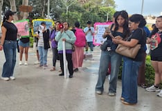 Ica: rescatistas de animales realizan plantón y exigen normativas que apoyen a los refugios temporales