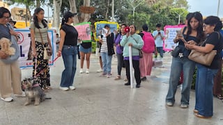 Ica: rescatistas de animales realizan plantón y exigen normativas que apoyen a los refugios temporales