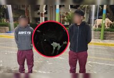 Arequipa: Dos detenidos por hurtar dos vacas valorizadas en 8 mil soles en Yarabamba