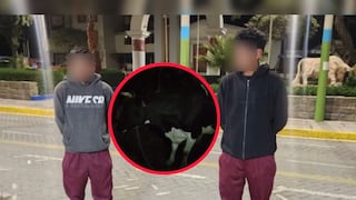 Arequipa: Dos detenidos por hurtar dos vacas valorizadas en 8 mil soles en Yarabamba