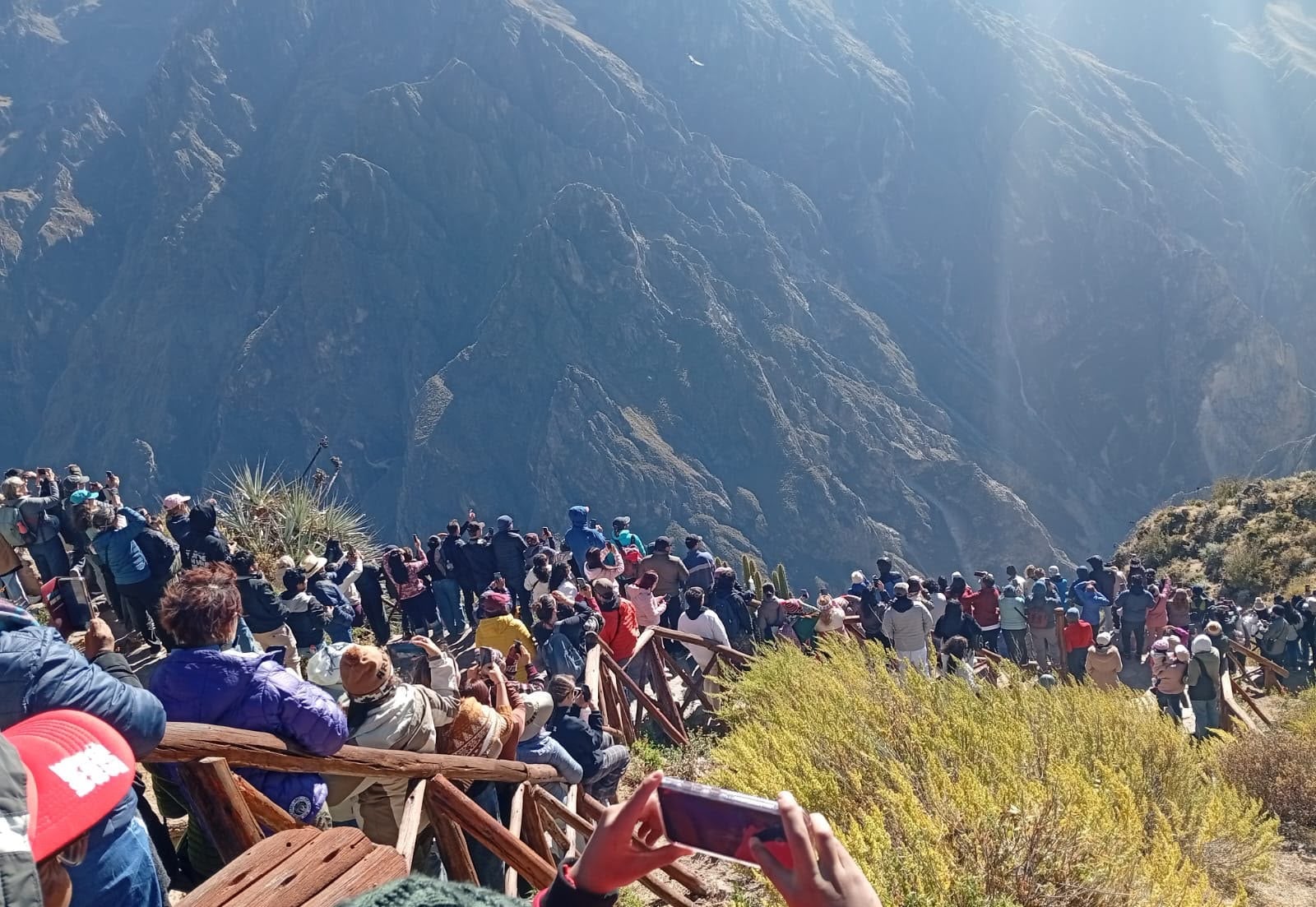 Feriado largo por Fiestas Patrias: 11 mil turistas visitaron el Cañón del Colca (Foto: Autocolca)
