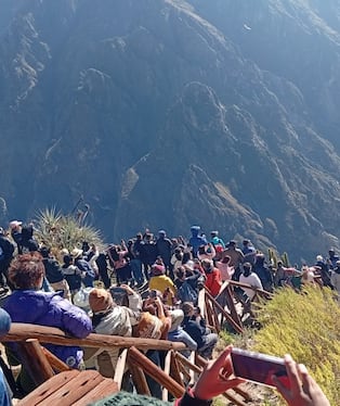 Feriado largo por Fiestas Patrias: 11 mil turistas visitaron el Cañón del Colca (Foto: Autocolca)