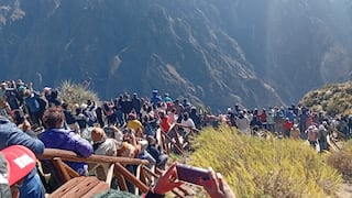 Feriado largo por Fiestas Patrias: 11 mil turistas visitaron el Cañón del Colca