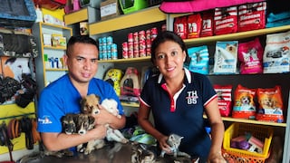Asociación de Rescate de Vida Animal Arvidal Perú - Almendra Hernández salvó 6 mil vidas en 15 años  