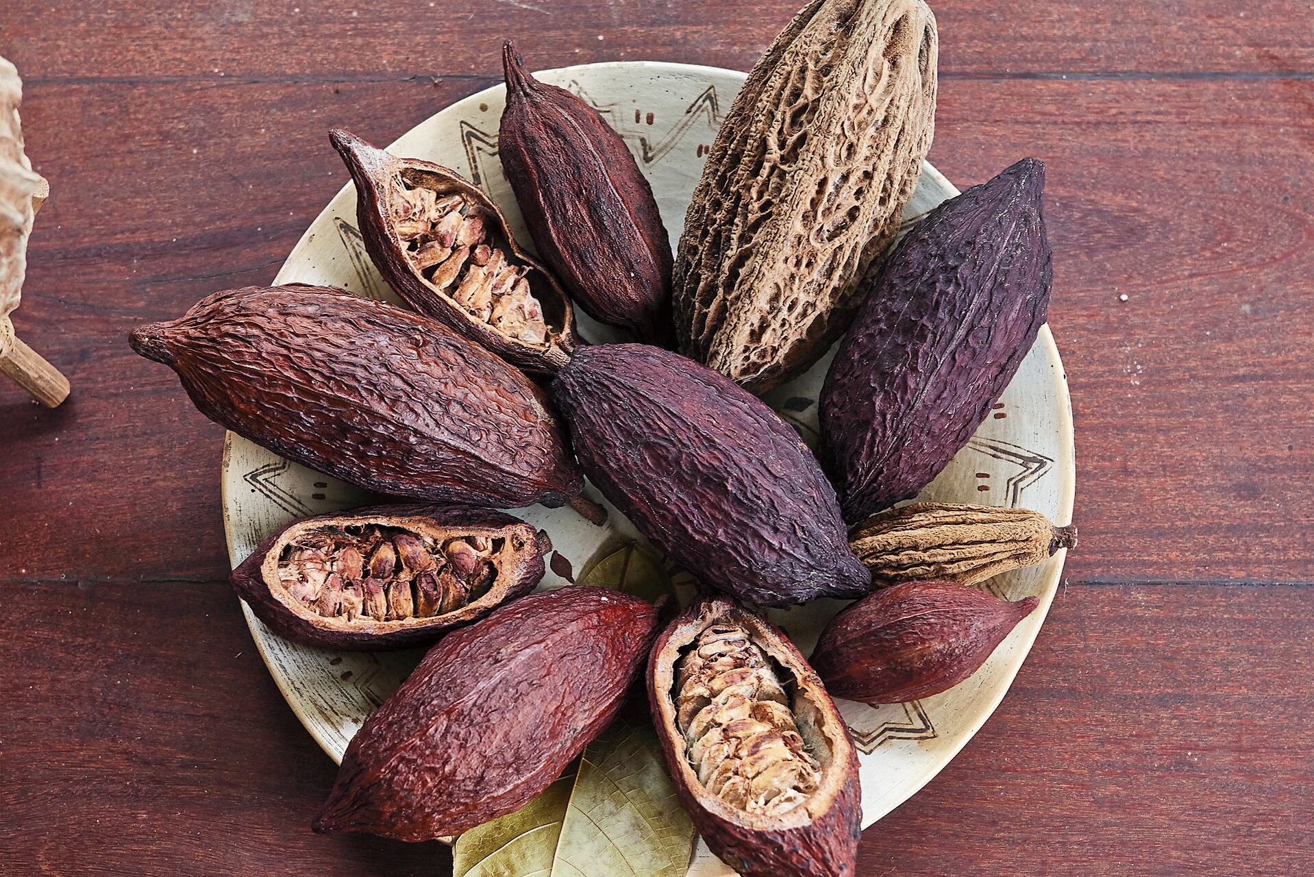 “Pero ahora resulta que el cacao es un gran negocio. los reportes de países productores donde se está resembrando sin control, traerá consecuencias que es posible acentúen la crisis”, escribe Vanessa Rolfini.