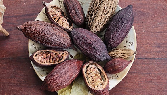 “Pero ahora resulta que el cacao es un gran negocio. los reportes de países productores donde se está resembrando sin control, traerá consecuencias que es posible acentúen la crisis”, escribe Vanessa Rolfini.
