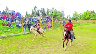 Chupaca: Ponis andinos participan en singular carrera 