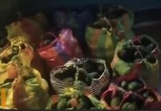 Chincha: caen los “Palteros del Carmen” con más de 400 kilos de paltas robadas