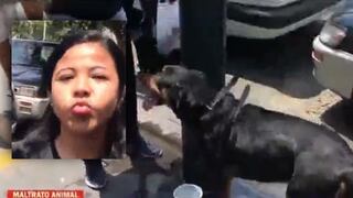 Mujer encadena a su perro a poste en pleno calor: "Por 10 minutos que ha estado" (VIDEO)