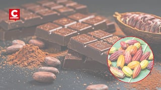 El chocolate debe tener cacao