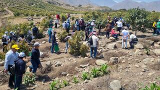 La Libertad: Más de 53 mil hectáreas de cultivo en alto riesgo debido a la escasez de agua por contaminación