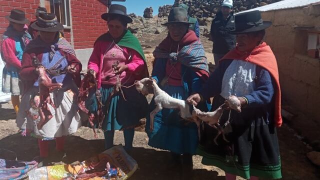 Bono agrario no da esperanza a campesinos ni ganaderos en Huancavelica