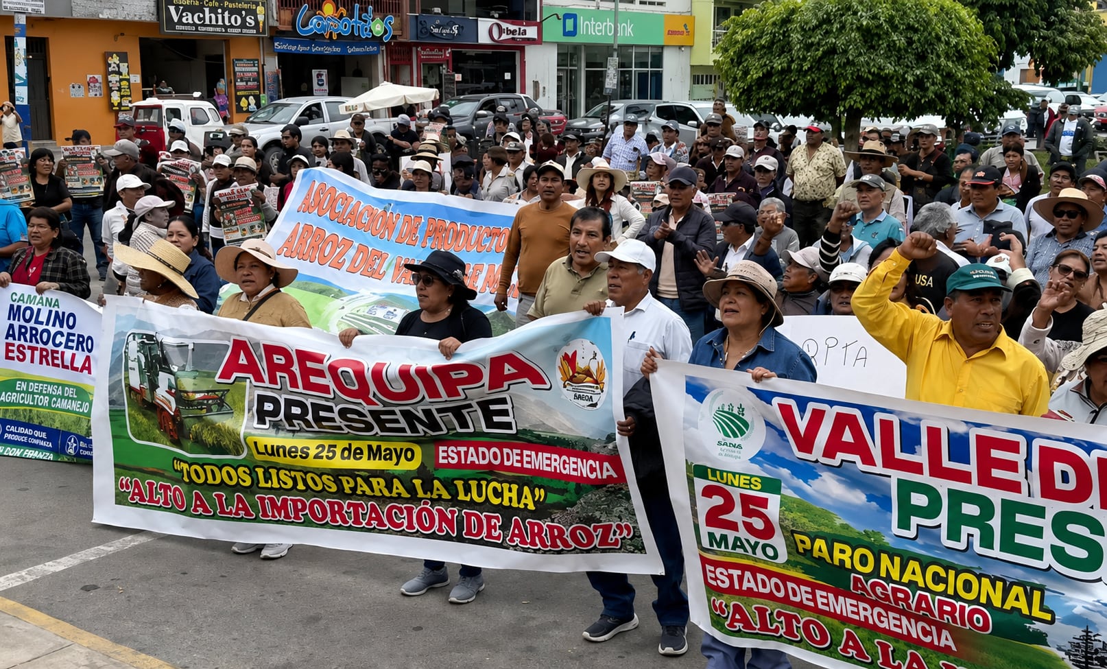 Protesta de arroceros en Camaná. Foto: GEC.