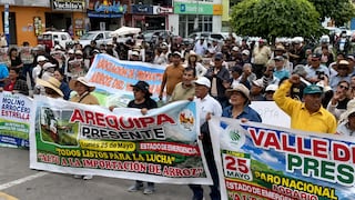 Arequipa: Agricultores se movilizan en Camaná por crisis del arroz