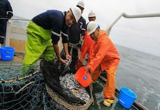 PRODUCE: Autorizan primera temporada de pesca 2026 de anchoveta en la zona sur